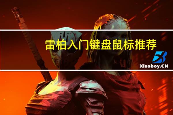 雷柏入门键盘鼠标推荐(雷柏ratv)