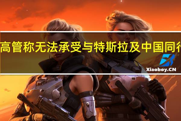 雷诺高管称无法承受与特斯拉及中国同行打价格战