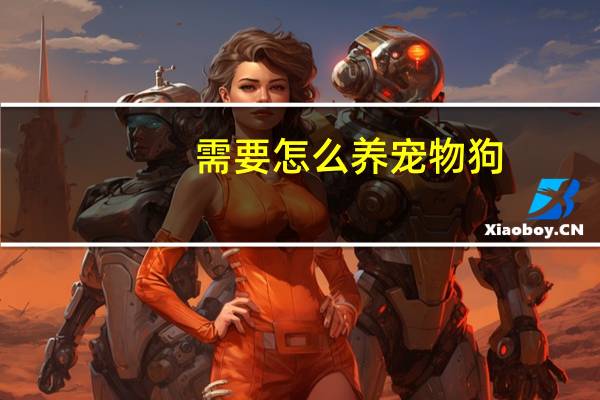 需要怎么养宠物狗