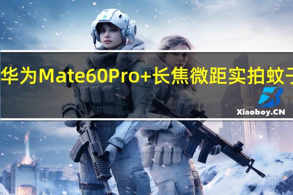 震撼！华为Mate60 Pro+长焦微距实拍蚊子吸血全过程：连嘴都能看清