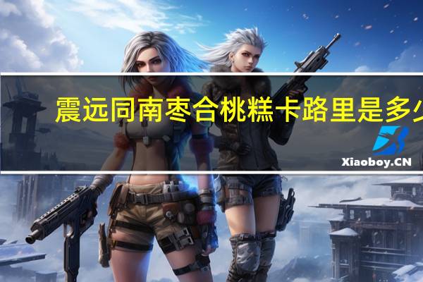 震远同 南枣合桃糕卡路里是多少