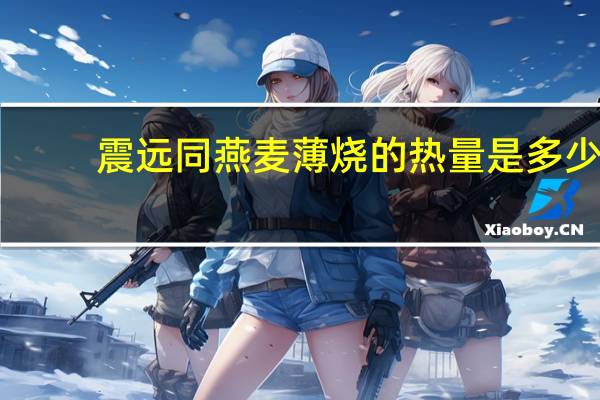 震远同 燕麦薄烧的热量是多少