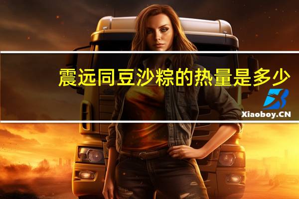 震远同 豆沙粽的热量是多少