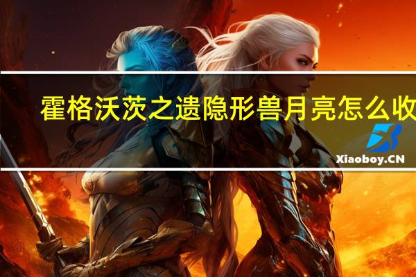 霍格沃茨之遗隐形兽月亮怎么收集-隐形兽月亮全收集攻略