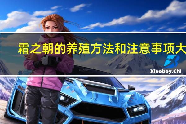 霜之朝的养殖方法和注意事项大全