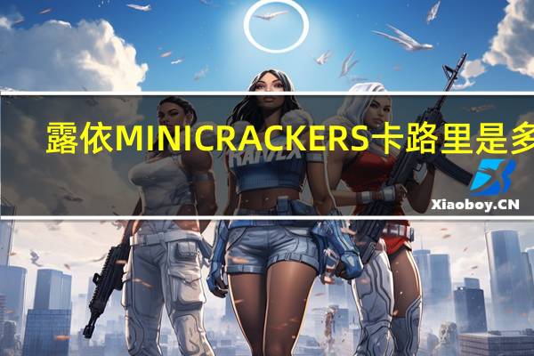 露依 MINICRACKERS卡路里是多少