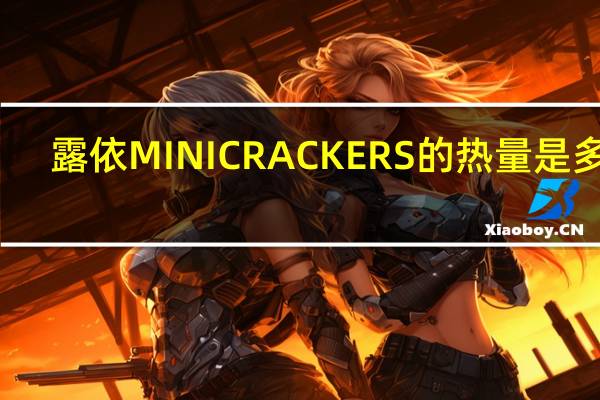 露依 MINICRACKERS的热量是多少
