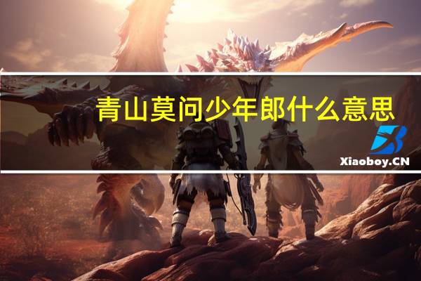 青山莫问少年郎什么意思