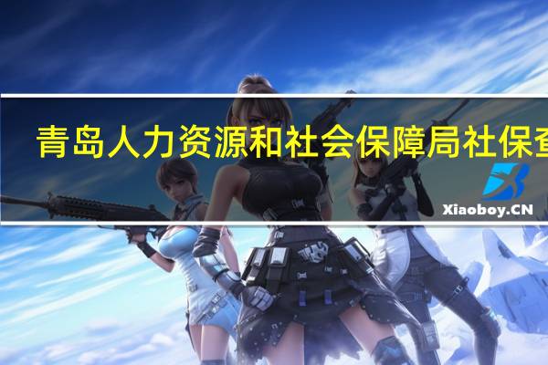 青岛人力资源和社会保障局社保查询（青岛市人力资源和社会保障局个人查询）