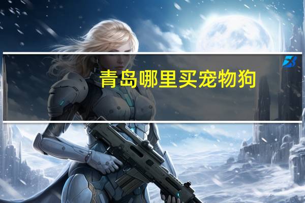 青岛哪里买宠物狗