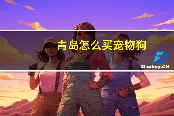 青岛怎么买宠物狗