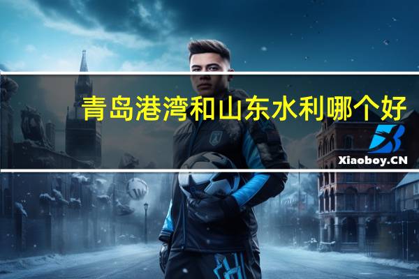 青岛港湾和山东水利哪个好