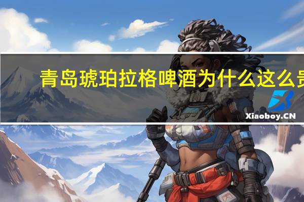 青岛琥珀拉格啤酒为什么这么贵