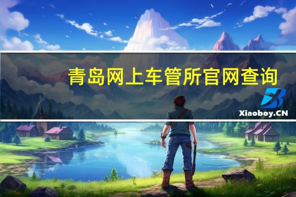 青岛网上车管所官网查询（青岛网上车管所）