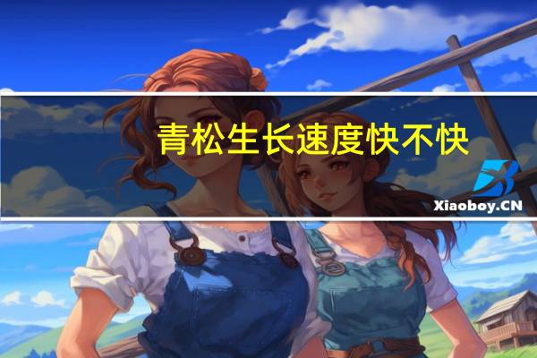 青松生长速度快不快