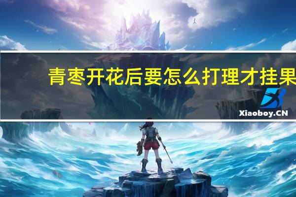青枣开花后要怎么打理才挂果