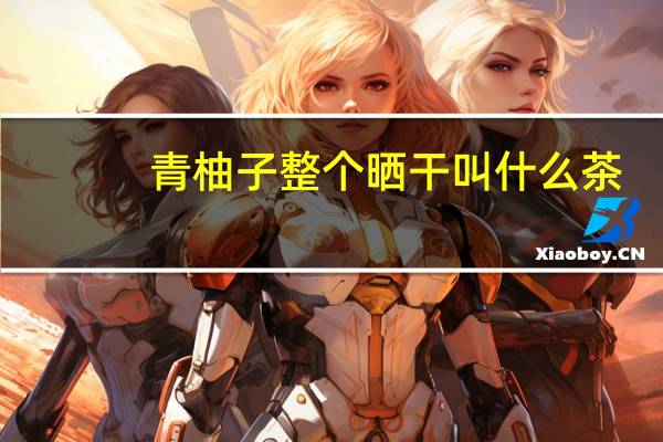 青柚子整个晒干叫什么茶