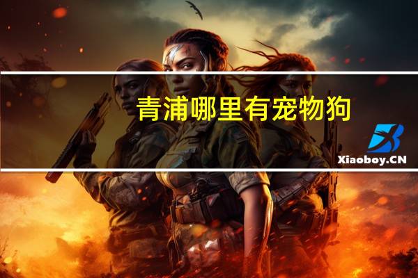 青浦哪里有宠物狗