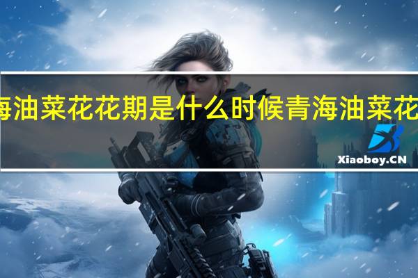 青海油菜花花期是什么时候 青海油菜花在哪里看(附攻略)