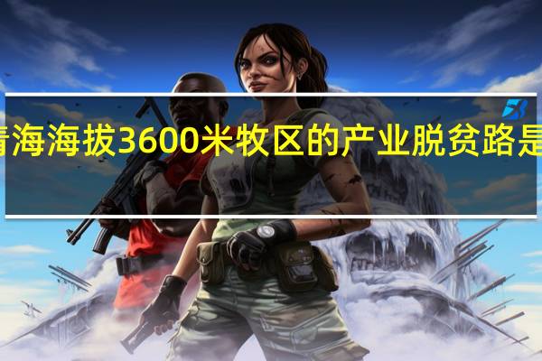 青海海拔3600米牧区的产业脱贫路是怎样的