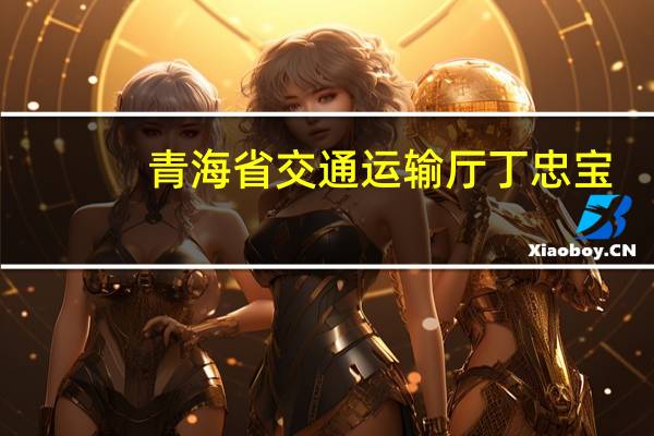 青海省交通运输厅丁忠宝（青海省交通运输厅）