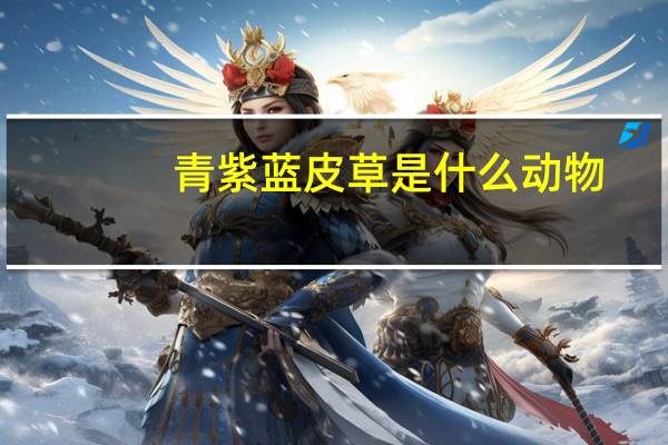 青紫蓝皮草是什么动物
