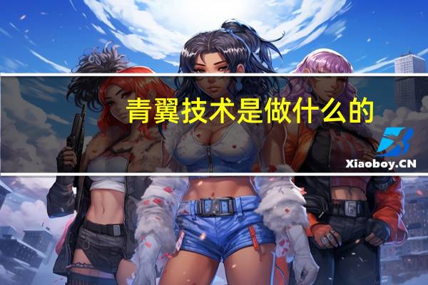 青翼技术是做什么的（青翼简介）