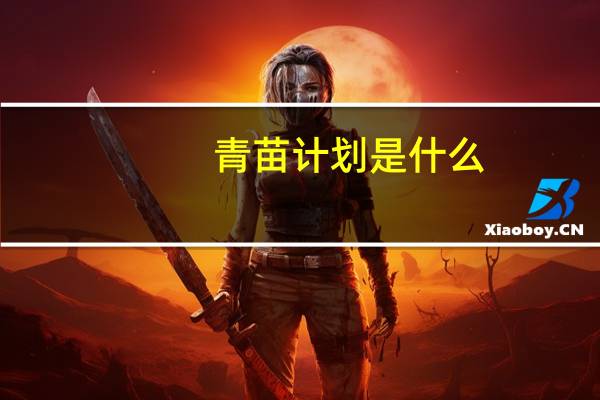 青苗计划是什么