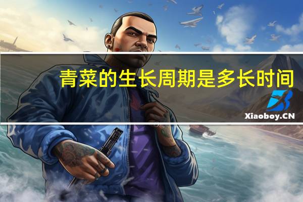 青菜的生长周期是多长时间