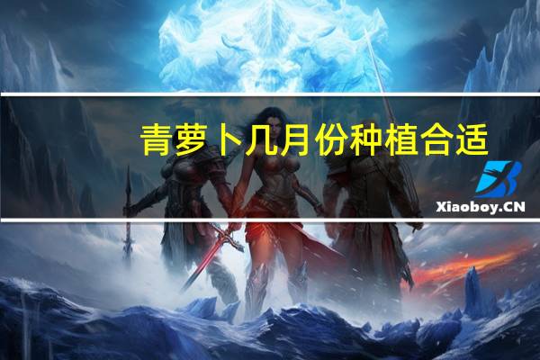 青萝卜几月份种植合适