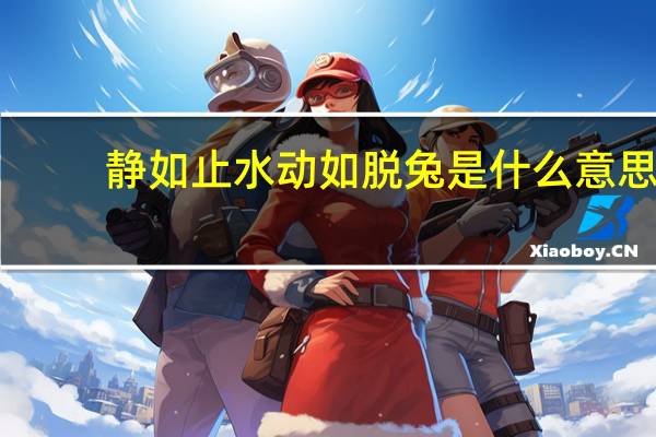 静如止水动如脱兔是什么意思