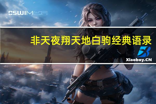 非天夜翔天地白驹经典语录