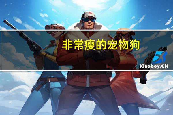 非常瘦的宠物狗