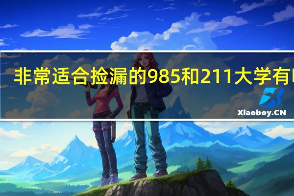非常适合捡漏的985和211大学有哪些