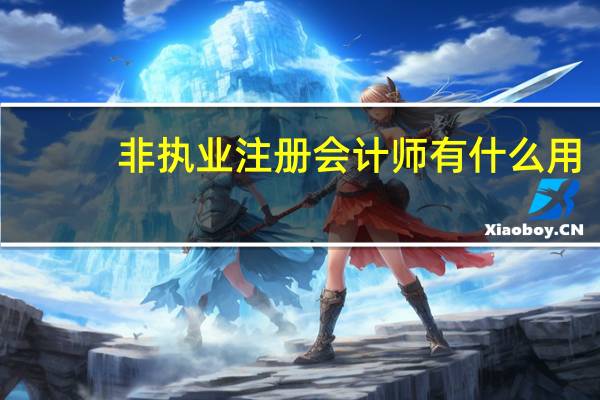 非执业注册会计师有什么用