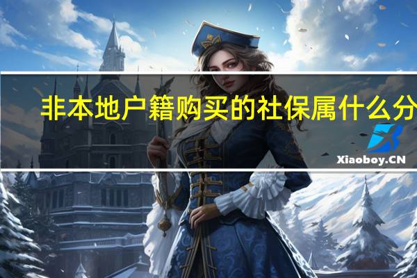 非本地户籍购买的社保属什么分类