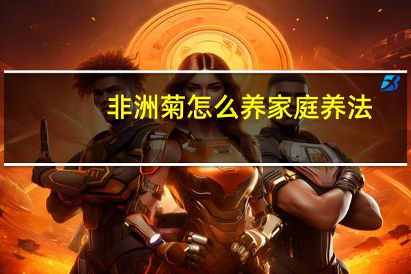 非洲菊怎么养家庭养法