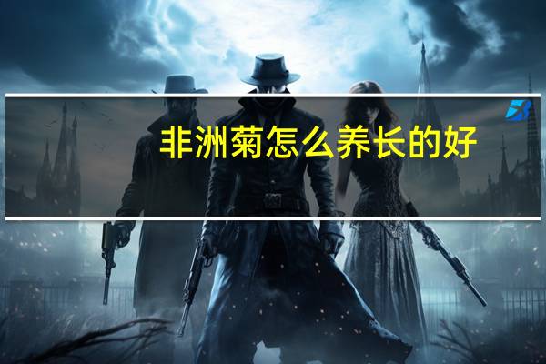 非洲菊怎么养长的好
