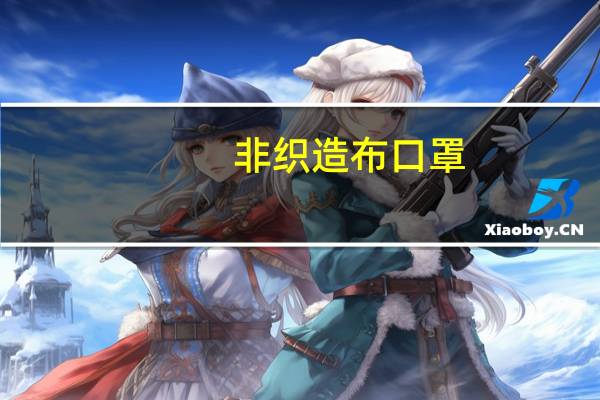 非织造布口罩（非织造布）