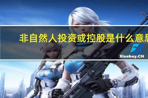 非自然人投资或控股是什么意思（非自然人）