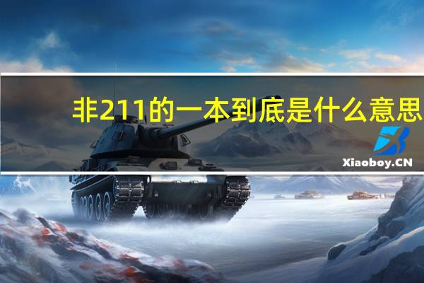 非211的一本到底是什么意思