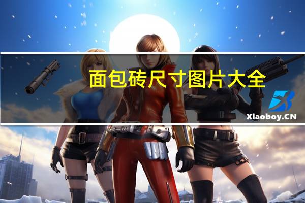 面包砖尺寸图片大全（面包砖尺寸）