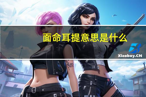 面命耳提意思是什么