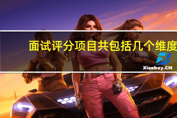 面试评分项目共包括几个维度