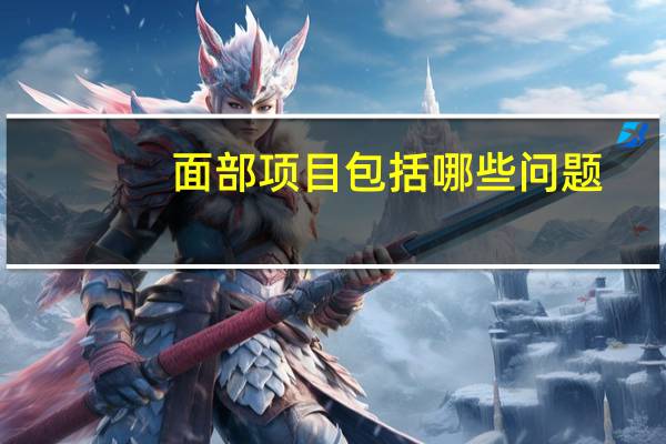 面部项目包括哪些问题(SPA包含什么项目)