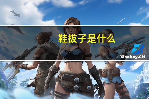 鞋拔子是什么?（鞋拔子是什么意思）