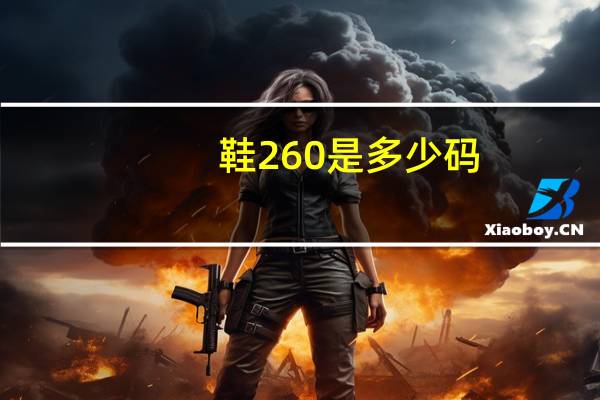 鞋260是多少码