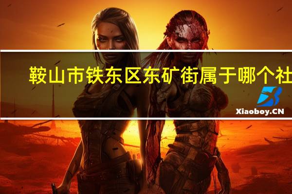 鞍山市铁东区东矿街属于哪个社区