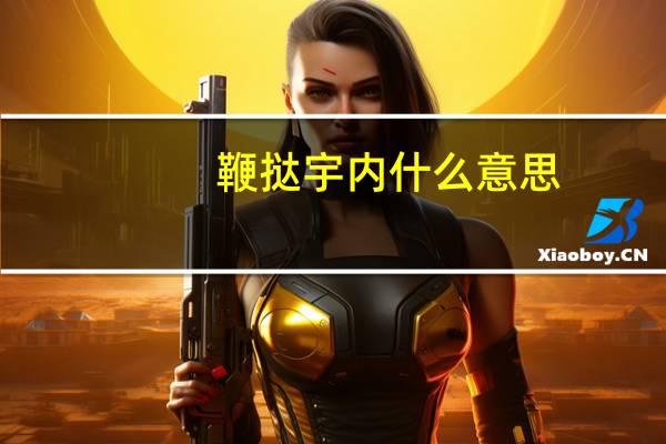 鞭挞宇内什么意思