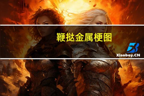 鞭挞金属梗图（鞭挞金属）